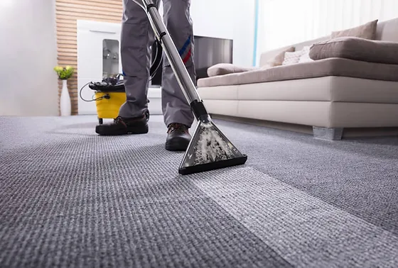 home carpet cleaning services
